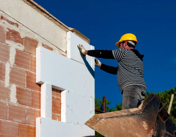 Best Energy Efficiency Insulation in Hamshire, TX