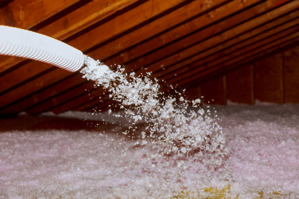 Best Insulation Maintenance and Repair in Hamshire, TX