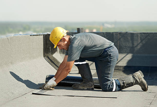 Best Specialized Insulation Services in Hamshire, TX