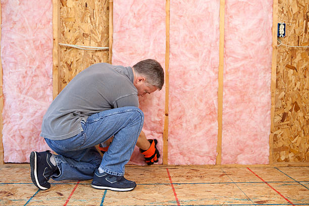 Best Residential Insulation in Hamshire, TX